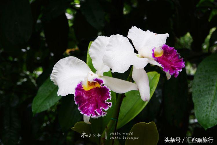 汇客厅2020,狮城新加坡旅游掠影