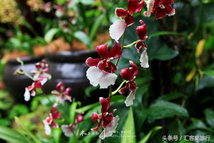 汇客厅2020,狮城新加坡旅游掠影