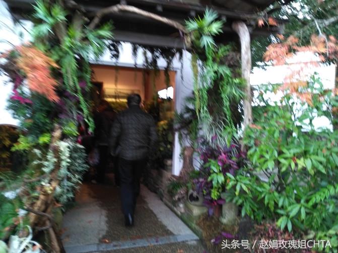 此由志园，非彼幼稚园