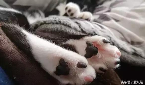 足部走路姿势,一岁宝宝足部正确姿势