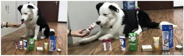 足部走路姿势,一岁宝宝足部正确姿势