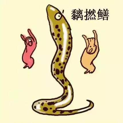 犀飞利！广州人都膜拜的珠江边13大神兽，只有我哋大广州独有！