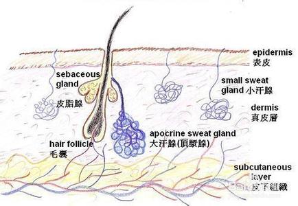 夜间盗汗只有头部出汗,夜间盗汗与棉被厚出汗有何区别