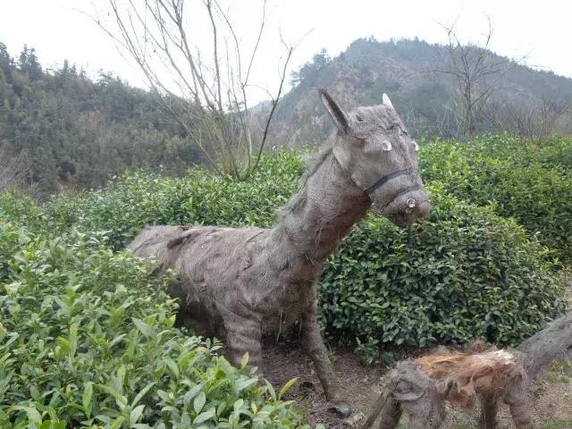 茶产业转型升级的意义,茶产业转型升级的建议