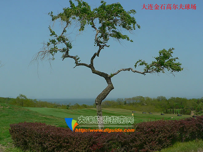 大连蓝海高尔夫球场,大连高尔夫球场推荐