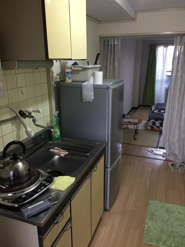 日本dokkan植物酵素老爸评测 (春节日本15天自由行)