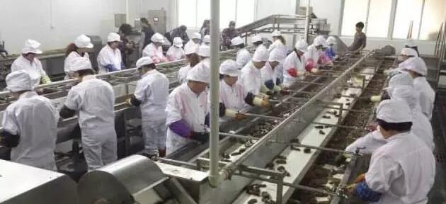 买海参干的好还是即食海参好,为什么即食海参比淡干海参便宜