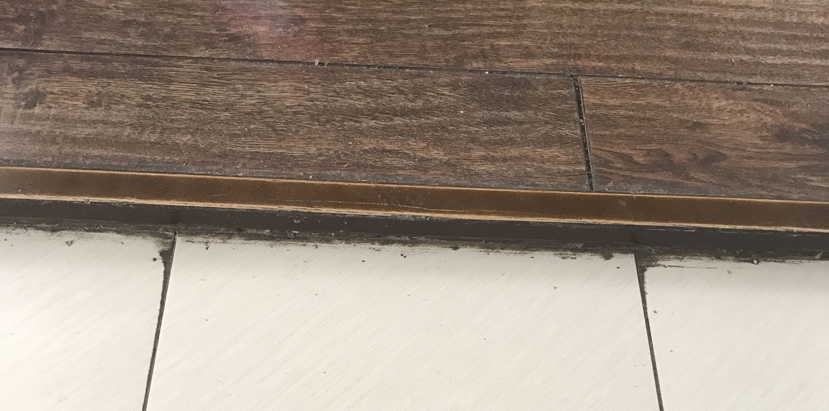 适合情人节的礼物推荐,有哪些高级又走心的情人节礼物