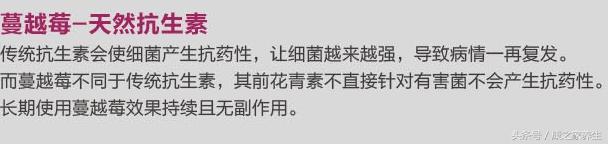 澳洲蔓越莓swisse功效,澳洲swisse蔓越莓测评