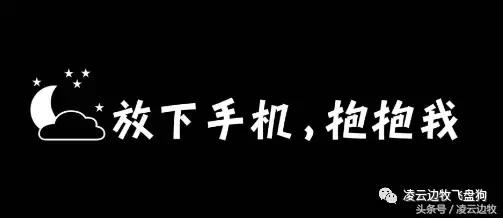 使狗狗快乐的动作,使狗狗开心的声音