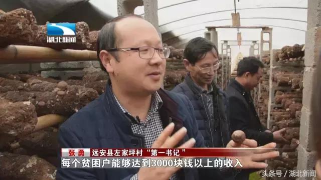 讲个故事：炸皮子肉还剩那么多，那肯定是个好年！