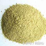 脂肪肝能喝板蓝根颗粒吗,绿豆粉与板蓝根粉能治疗脂肪肝吗