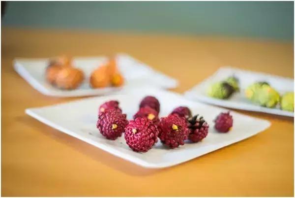 原来松果还可以这么美,原来红杉树也可以很美