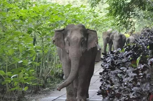 干货分享必读,干货探索与分享