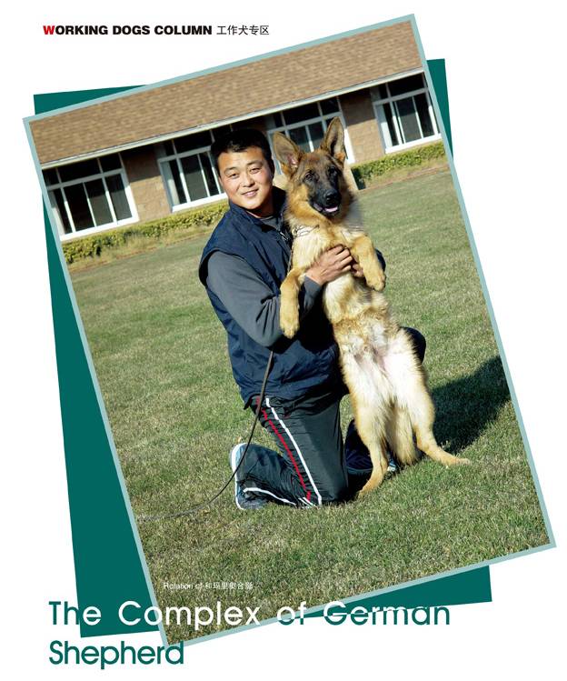 放炮时的狗狗为什么会惊吓,狗狗放鞭炮受惊吓怎么办