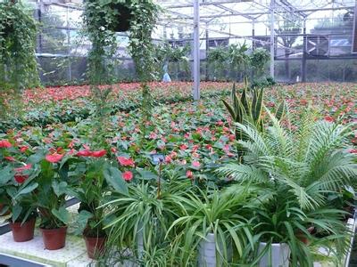 过完年创业做什么生意好,年后做点什么生意好