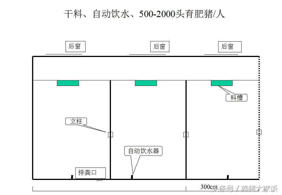 现代养猪的简易猪舍建造,自繁自养猪舍建设