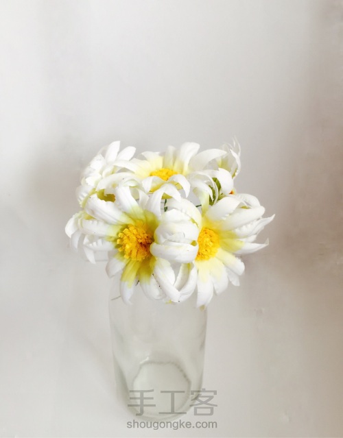 荞葭烫花-玛格丽特