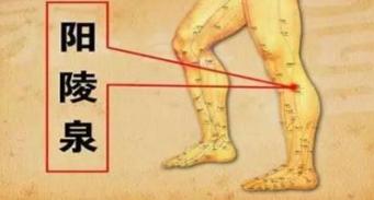 每天都说养生，今天你还敢说你会养生吗？