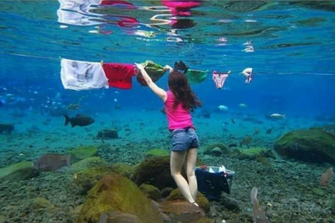 泰迪喝醉了怎么办,泰迪喝酒喝醉了