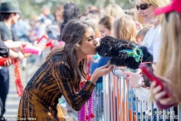 八卦骗局,八卦中的谣言有哪些