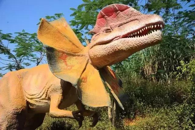 扶绥龙谷湾恐龙公园怎么样,扶绥龙谷湾恐龙公园项目