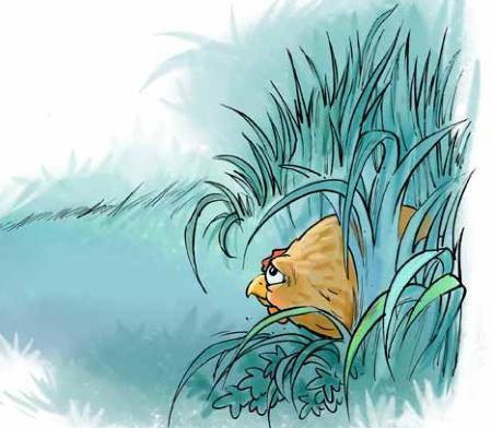 那只小母鸡，你收敛点！是你本命年也不能太过分！