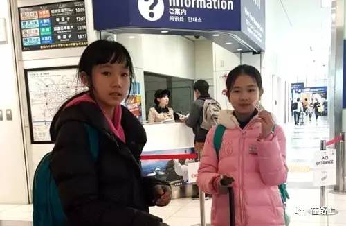 东京盛开的花,东京行走的画卷