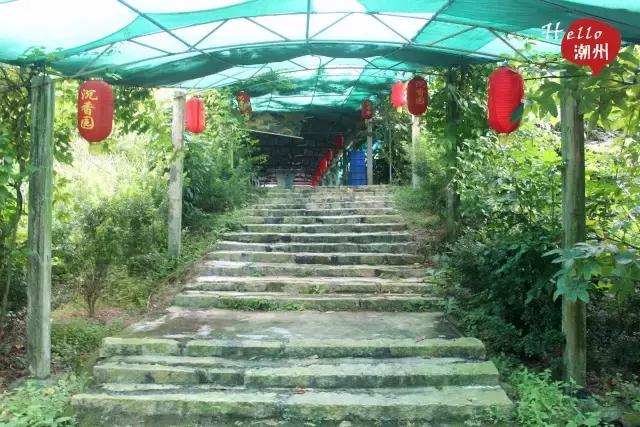 潮州好玩的农庄推荐,2022年潮州哪个农庄好玩