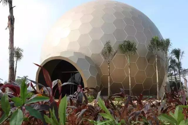 扶绥龙谷湾恐龙公园怎么样,扶绥龙谷湾恐龙公园项目