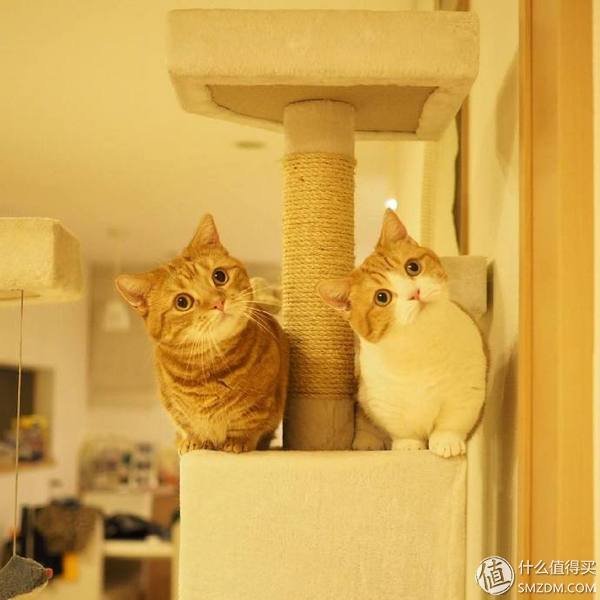 松下滚筒洗衣机轻柔洗,松下洗衣机快速洗和超快速洗