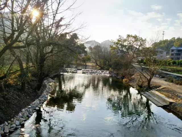 茶产业转型升级的意义,茶产业转型升级的建议