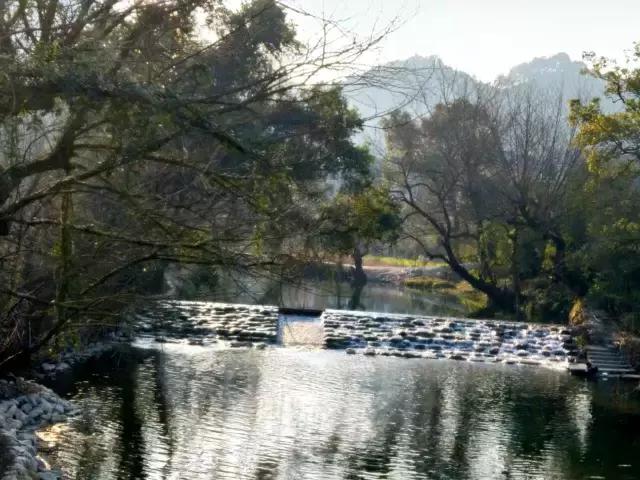 茶产业转型升级的意义,茶产业转型升级的建议