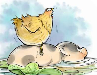 那只小母鸡，你收敛点！是你本命年也不能太过分！