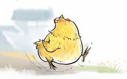 那只小母鸡，你收敛点！是你本命年也不能太过分！