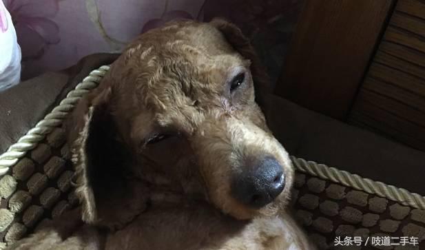 如何用三台华为的钱，买一台遮风挡雨的车