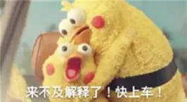 最近霸屏的小黄鸡表情包,最近很火的沙雕小黄鸡表情包