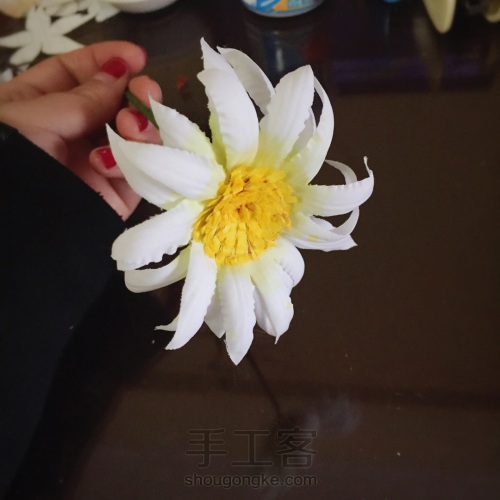 荞葭烫花-玛格丽特