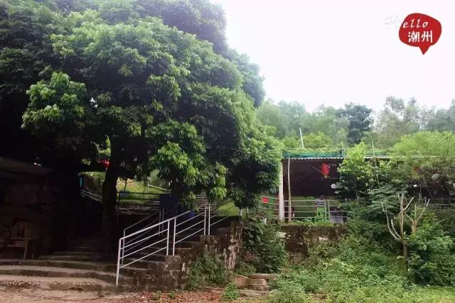 潮州好玩的农庄推荐,2022年潮州哪个农庄好玩