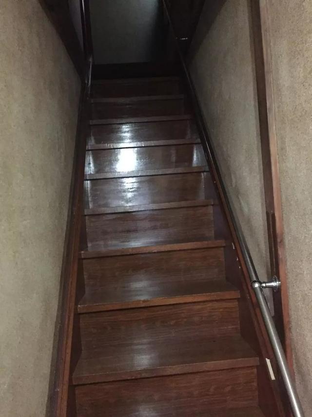 日本dokkan植物酵素老爸评测 (春节日本15天自由行)