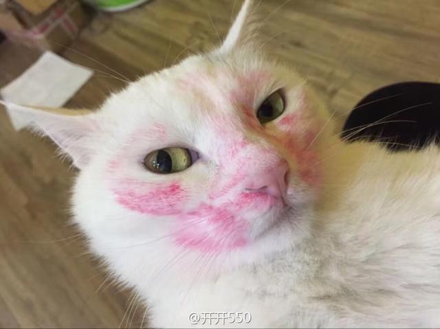 小同志，我要知道你这么傻我就应该多骗你钱了