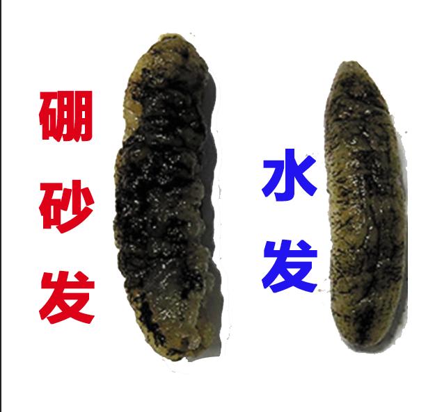 买海参干的好还是即食海参好,为什么即食海参比淡干海参便宜
