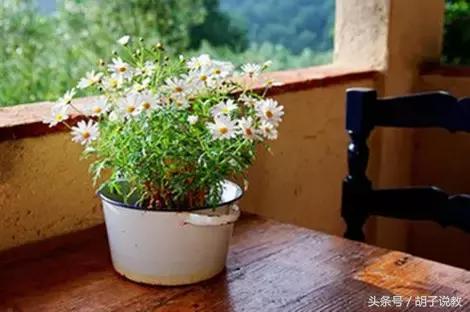 英语满分作文100篇详解,2016高考满分作文完整版