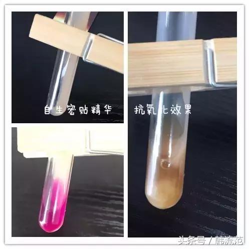 循环秘贴和再生秘贴的区别,自生秘贴和循环秘贴有啥区别