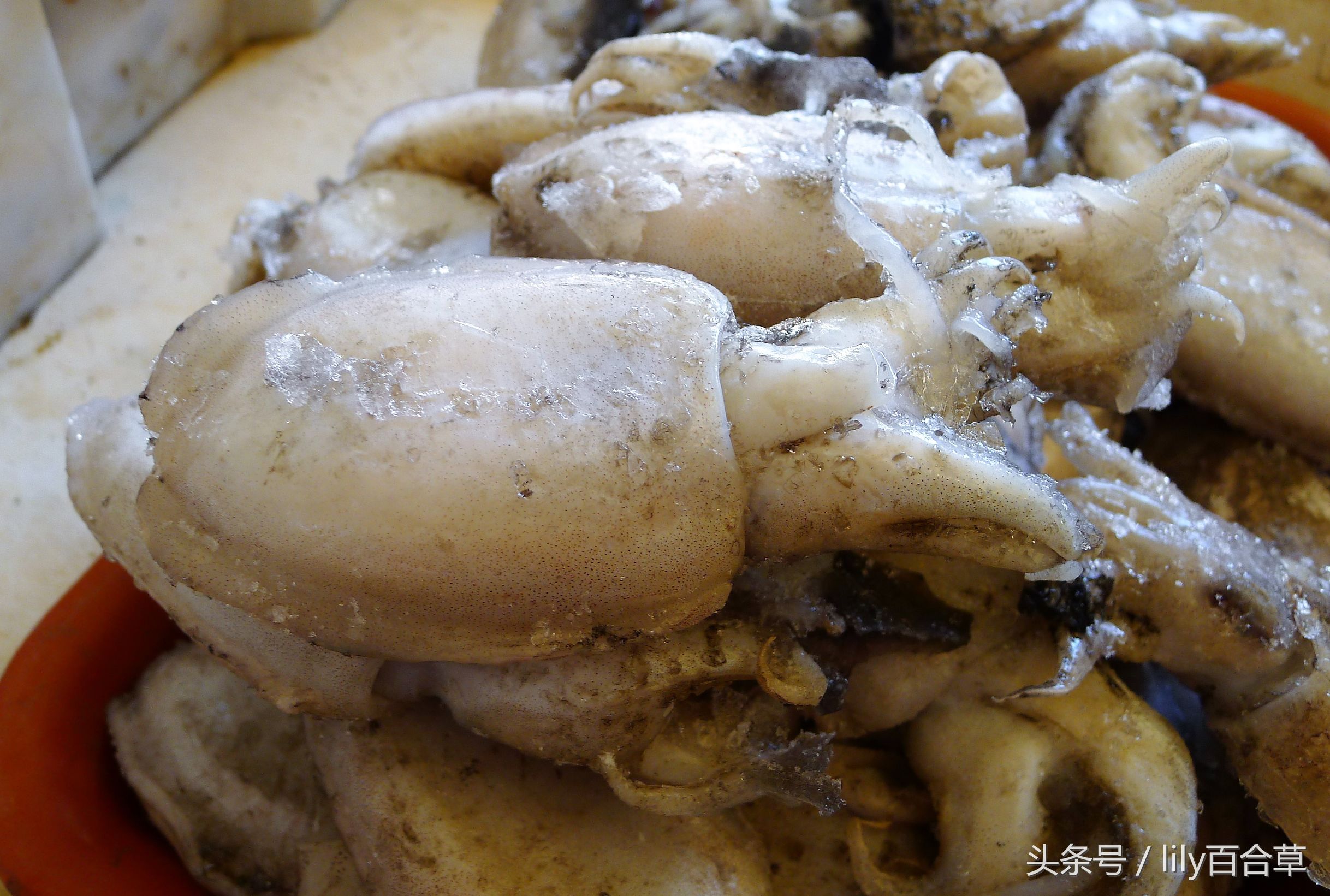 吃海鲜适合带什么,回家路上可以带海鲜吗