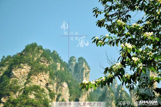 张家界国家森林公园旅游攻略,张家界品质游旅行社旅游攻略