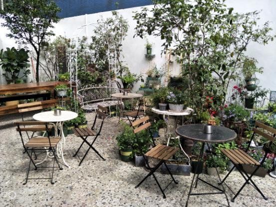 情人节拍照怎么调滤镜,oppor9s照相功能介绍