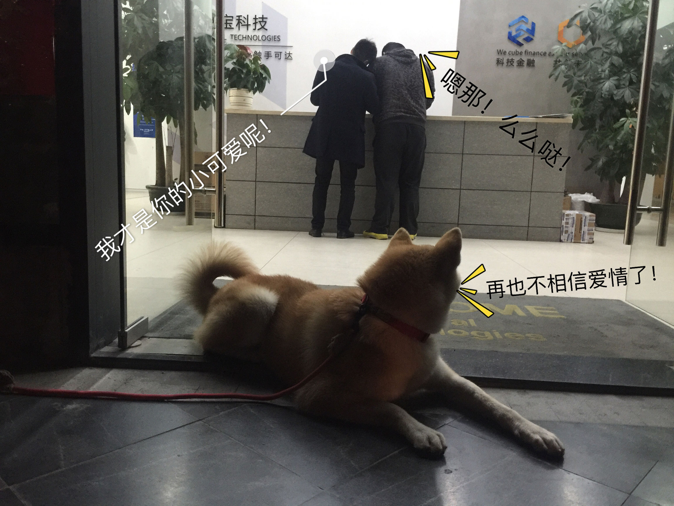 明天就是情人节了图文,明天就是情人节图片