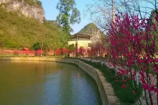 2017年，我在扶绥期待与你相遇