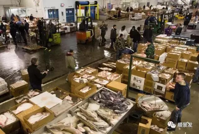 全球十大海鲜市场排名,全球大型海鲜批发市场